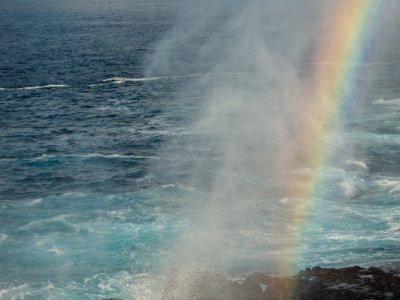 Galapogous-2014-8054