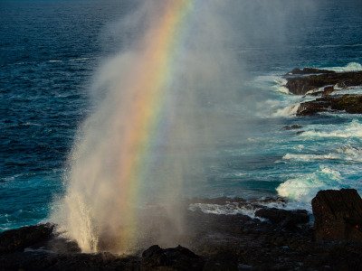 Galapogous-2014-8088