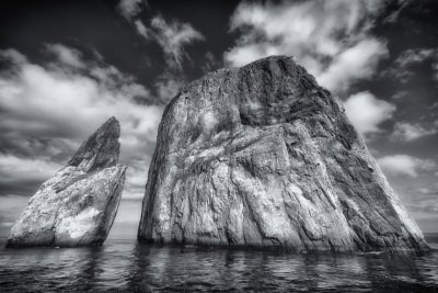 Galapogous-2014-9379