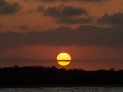 Galapogous-2014-9849