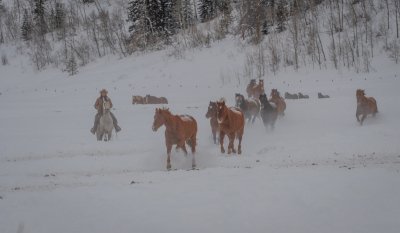 Colorado-2019-4237