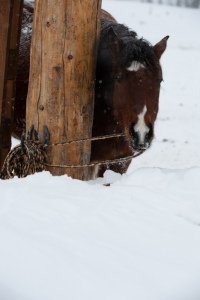 Colorado-2019-4903