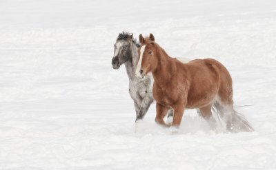 Colorado-2019-756