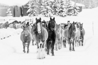 Colorado-2019-375