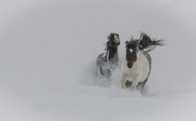 Colorado-2019-5948