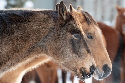 Colorado-2019-2934