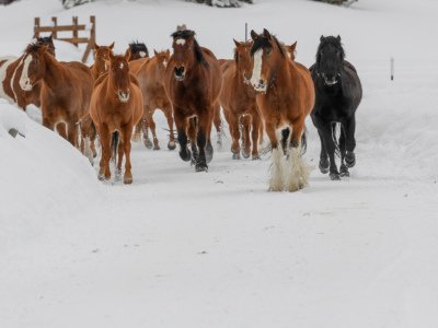 Colorado-2019-307