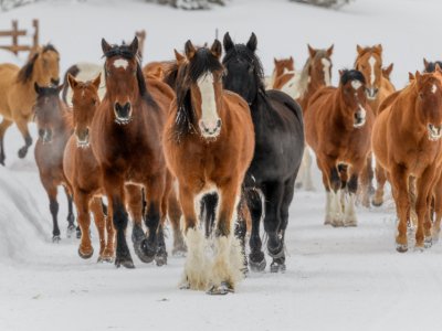 Colorado-2019-330