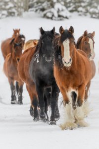 Colorado-2019-360