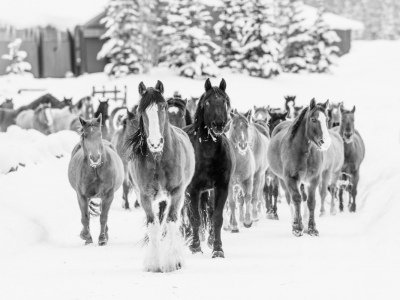 Colorado-2019-375