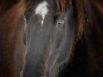 Colorado-2019-393