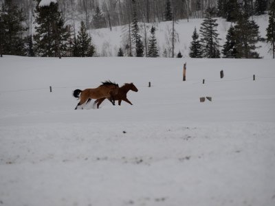 Colorado-2019-3960
