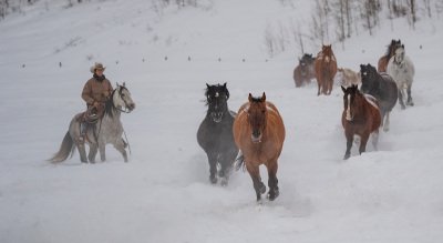 Colorado-2019-4205