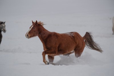 Colorado-2019-4353