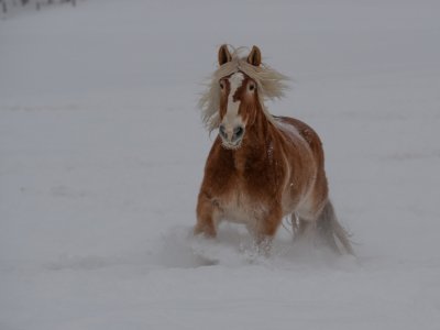 Colorado-2019-4390