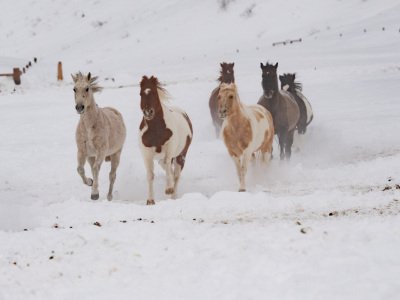 Colorado-2019-4466