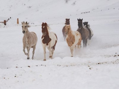 Colorado-2019-4466