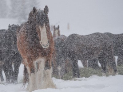 Colorado-2019-5269