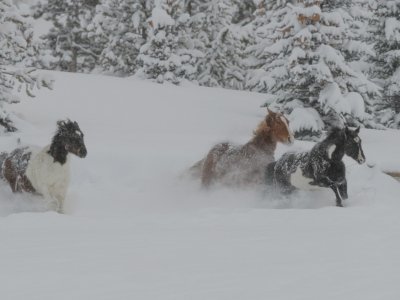 Colorado-2019-5899