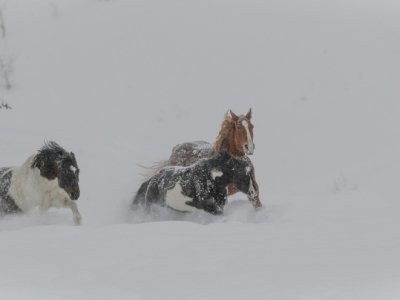 Colorado-2019-5910