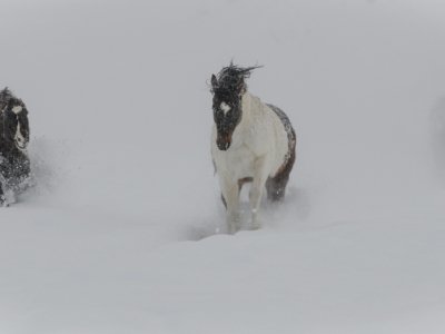 Colorado-2019-5944