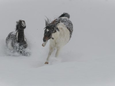 Colorado-2019-5947