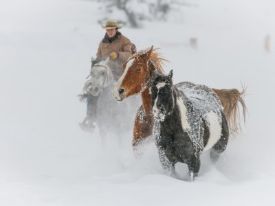 Colorado-2019-5982