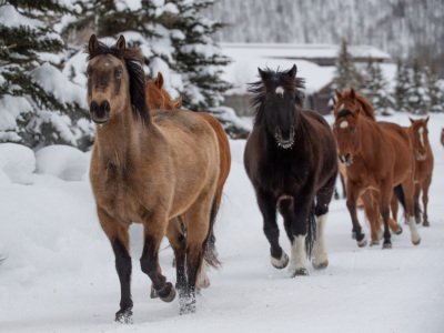 Colorado-2019-7389