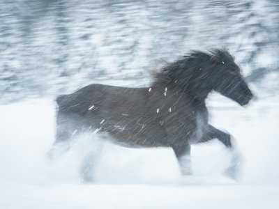 untitled-238