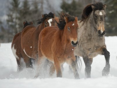 untitled-360-Edit-Edit