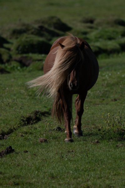 Iceland-post-trip-191