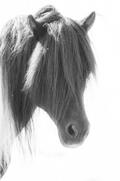 Iceland-post-trip-74
