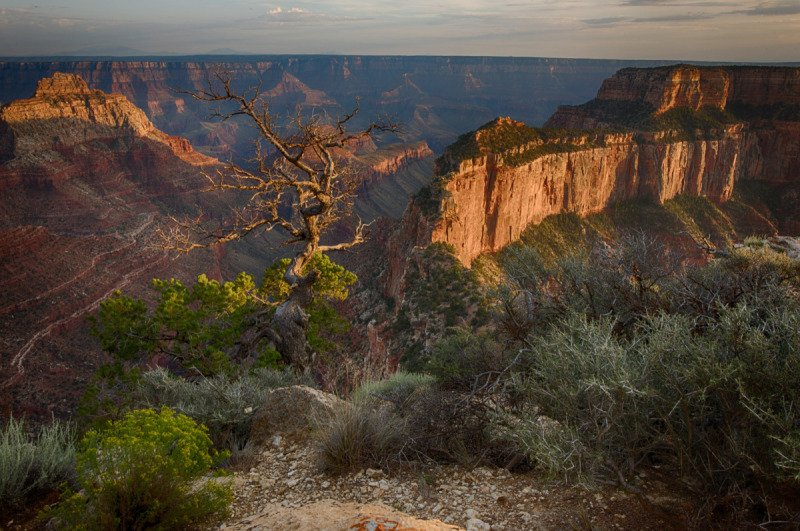 GrandCanyon2015-2070