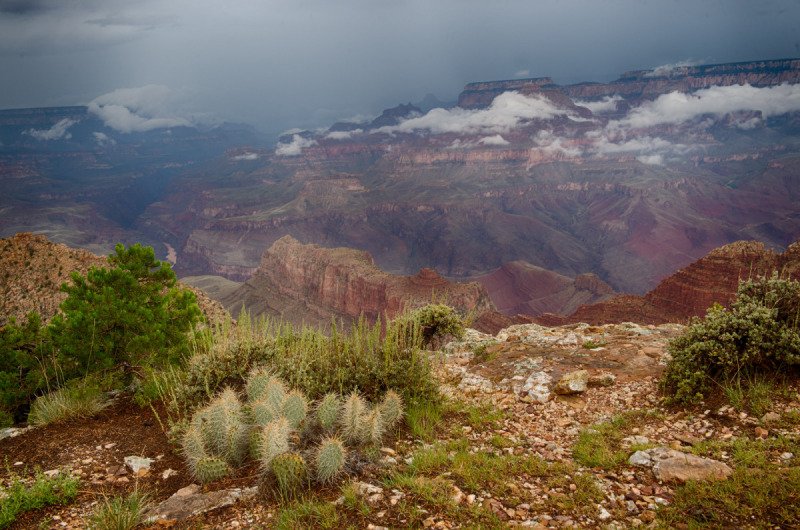 GrandCanyon2015-946