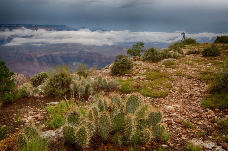 GrandCanyon2015-955