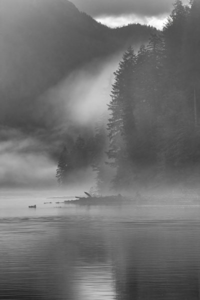 Great-Bear-Rainforest-2019-15949-Edit