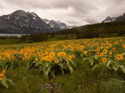 GlacierNP2012-168