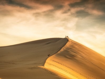 untitled-5