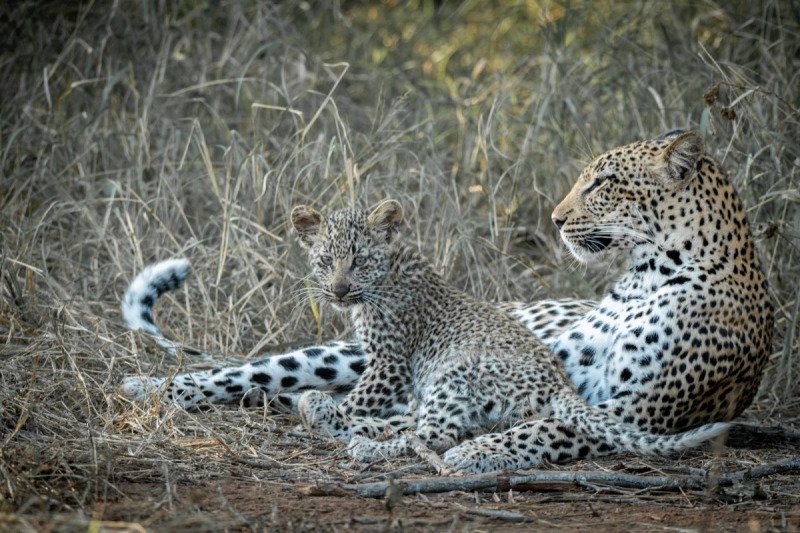 Africa-June-2018-3803