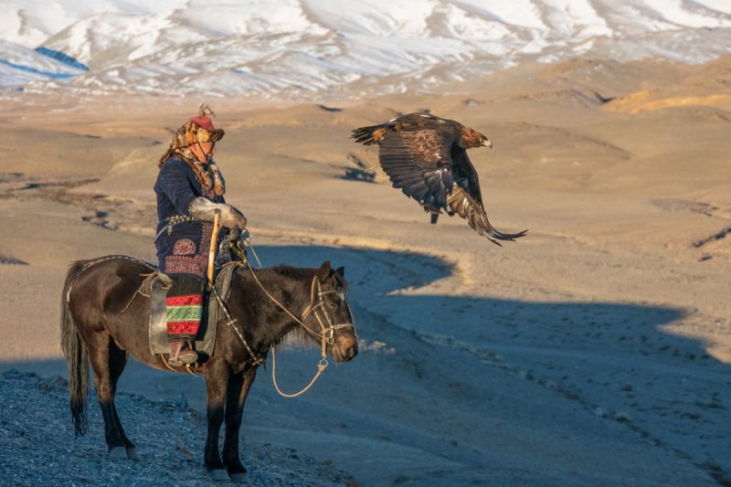 Eagle-Festival-2072