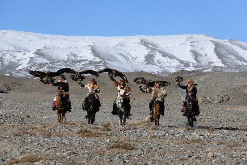 Eagle-Festival-2914-2