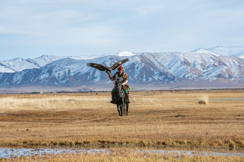 Eagle-Festival-401