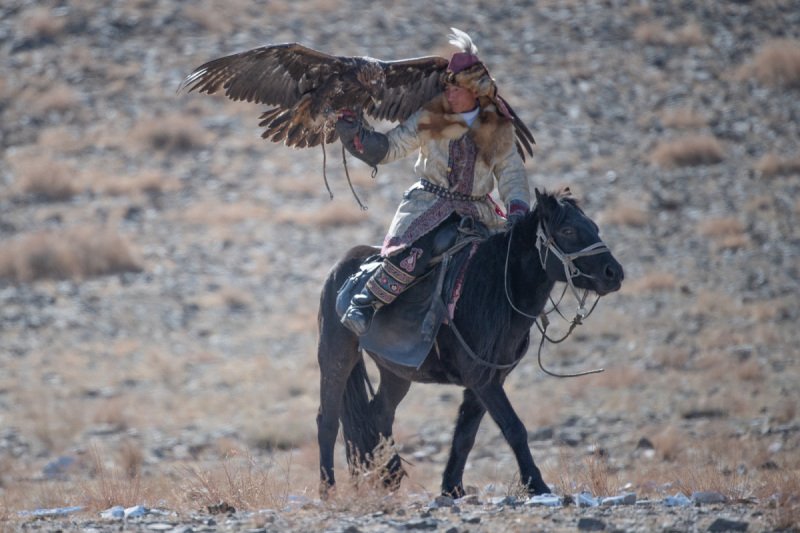 Eagle-Festival-4704