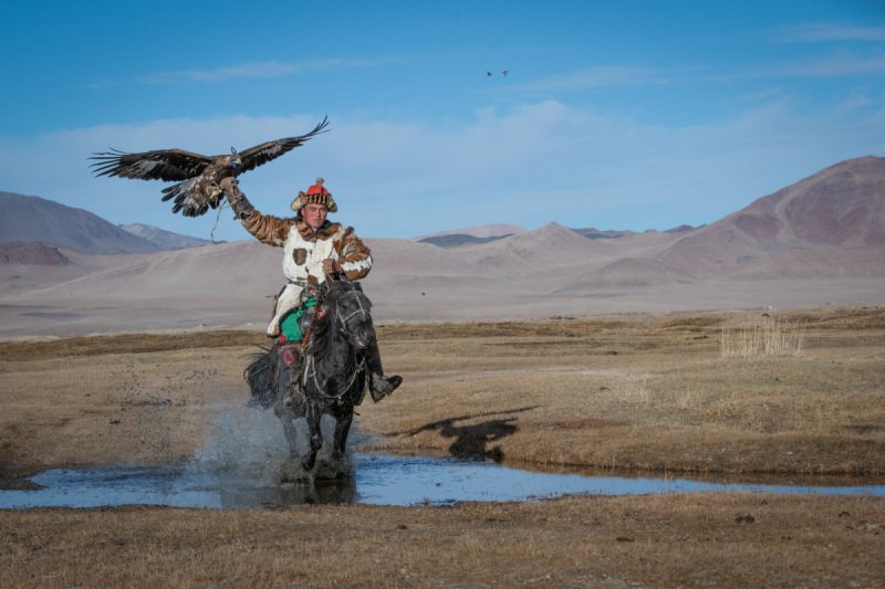 Eagle-Festival-527-Edit