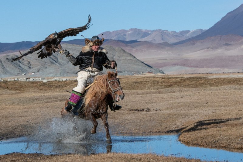 Eagle-Festival-706