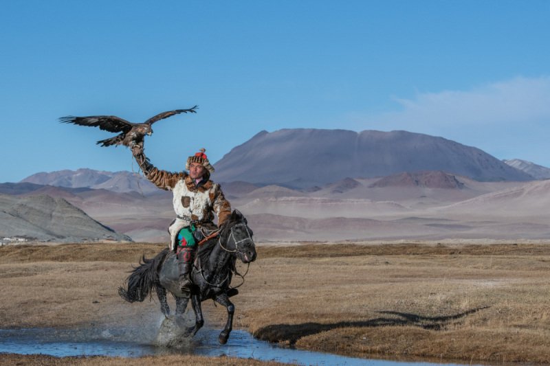 Eagle-Festival-820