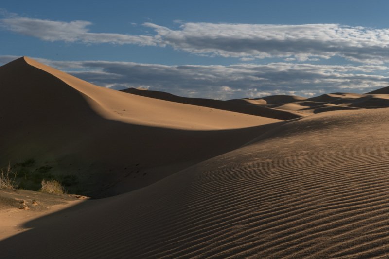 Gobi-2018-1789