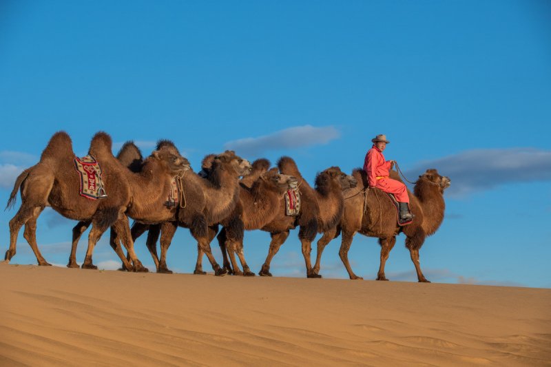 Gobi-2018-1864