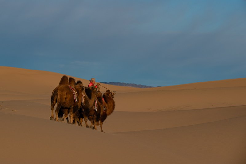 Gobi-2018-1885