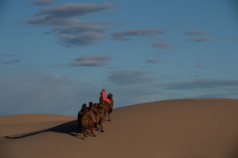 Gobi-2018-1898
